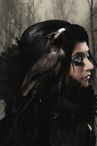 Crows: Wisdom Black by Babette Van den Berg