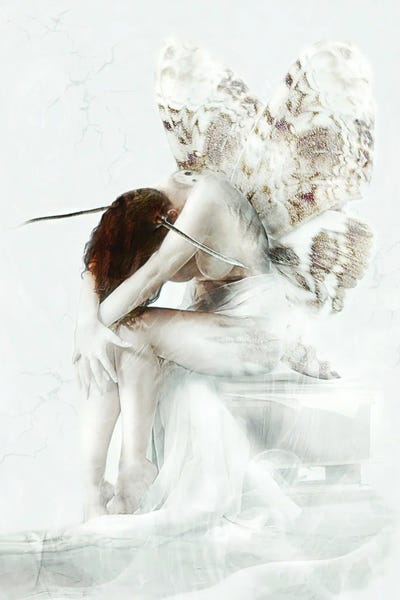 Moth Fairy by Babette Van den Berg framed wall art