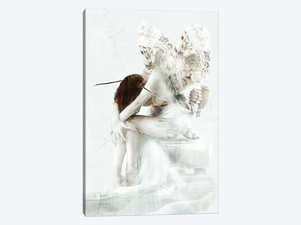 Moth Fairy by Babette Van den Berg 1-piece Canvas Print