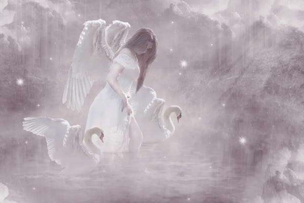 Babette Van den Berg: Swan Angel by Babette Van den Berg