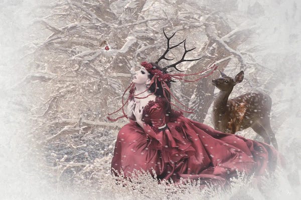 Orchid Pink: Christmas Fairy by Babette Van den Berg