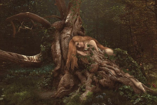 Fairies: Art Tree Collection IX by Babette Van den Berg