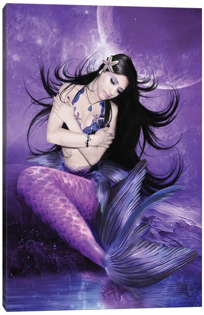 Mermaids Tale Canvas Art Print - Babette Van den Berg