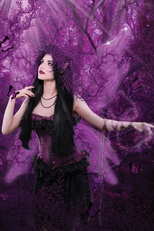 Fairy XXXII by Babette Van den Berg wall art