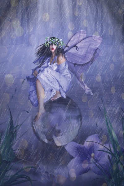 Fairies: Fairy XLI by Babette Van den Berg