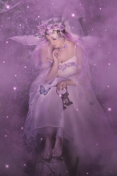 Fairies: Keys To My Heart by Babette Van den Berg