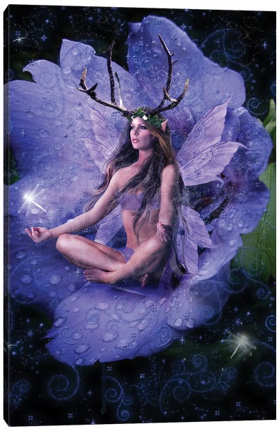 Fairy XXVI Canvas Art Print - Friendly Mythical Creatures