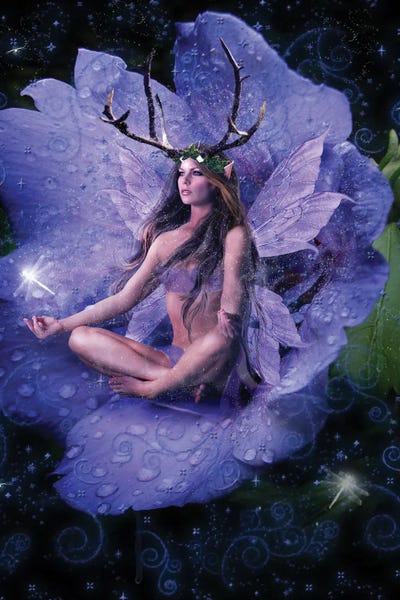 Lingerie: Fairy XXVI by Babette Van den Berg