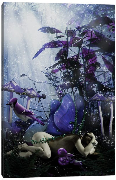Fairy XXXIX Canvas Art Print - Friendly Mythical Creatures