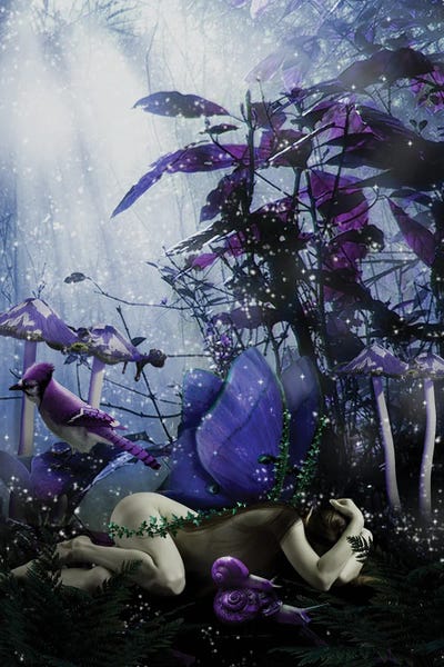 Cardinals: Fairy XXXIX by Babette Van den Berg