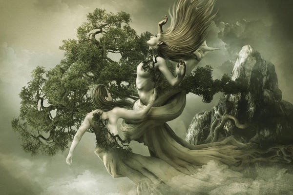 Fairies: Living On The Edge by Babette Van den Berg