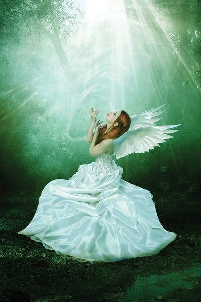 Babette Van den Berg: Angel II by Babette Van den Berg