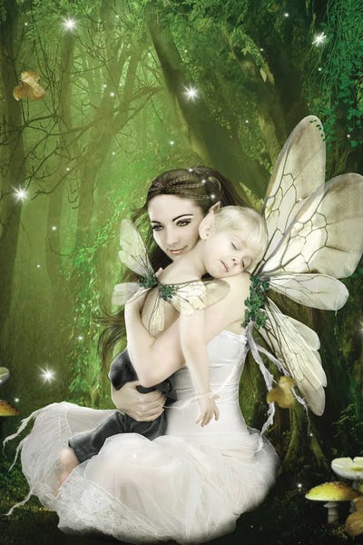 Fairies: Fairy XLIX by Babette Van den Berg
