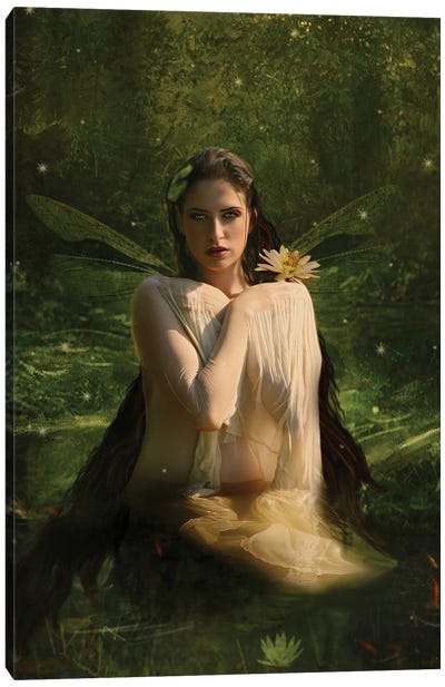 Fairy VII Canvas Art Print - Lotus Art
