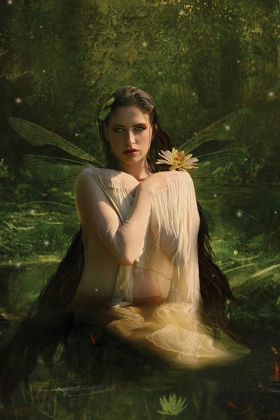 Lotuses: Fairy VII by Babette Van den Berg