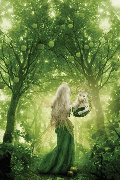 Fairy XV by Babette Van den Berg framed wall art