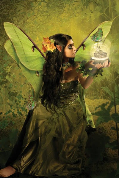 Fairies: Fairy XVI by Babette Van den Berg
