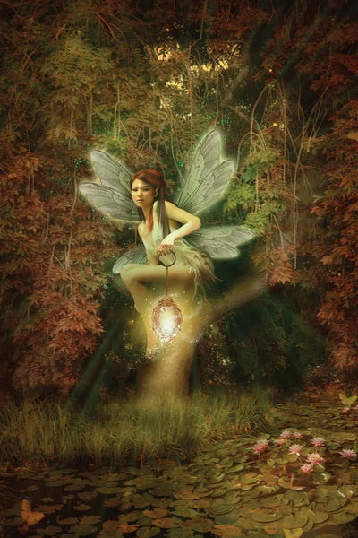 Ponds: Fairy XVII by Babette Van den Berg