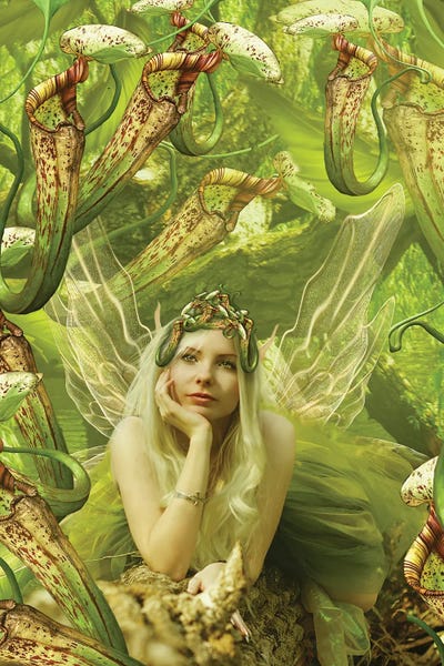 Fairies: Fairy XXII by Babette Van den Berg