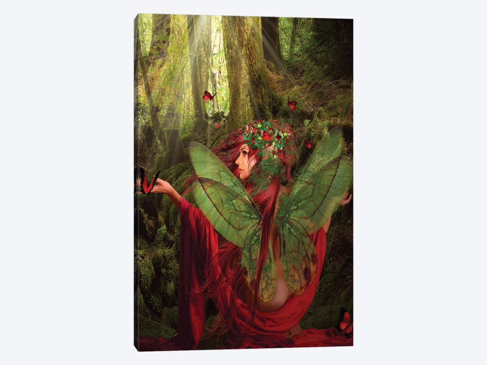 Fairy XLIII by Babette Van den Berg 1-piece Canvas Art Print