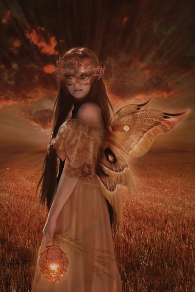 Fairy XXXV by Babette Van den Berg framed wall art