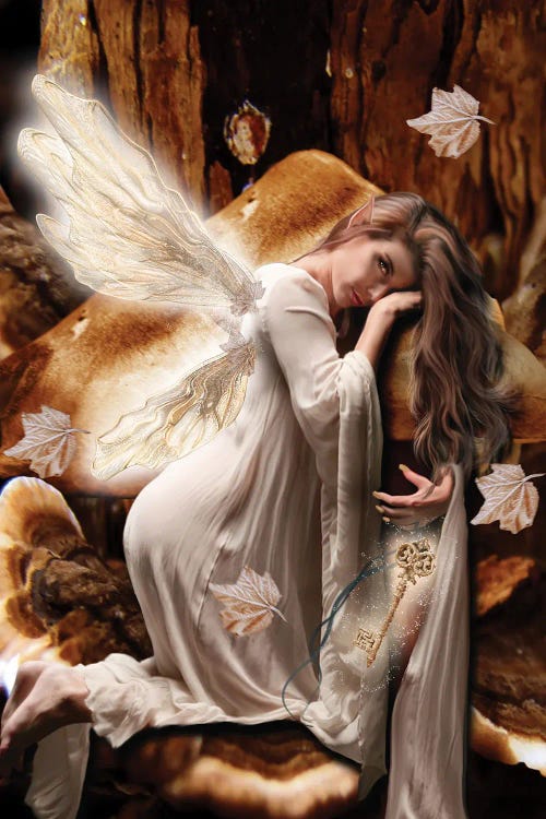 Fairy XLV by Babette Van den Berg wall art
