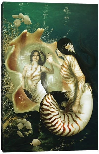 Nautilus Canvas Art Print - Mermaid Art