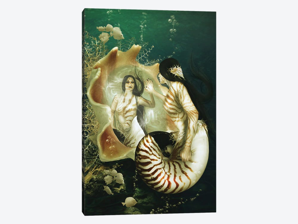 Nautilus by Babette Van den Berg 1-piece Canvas Artwork