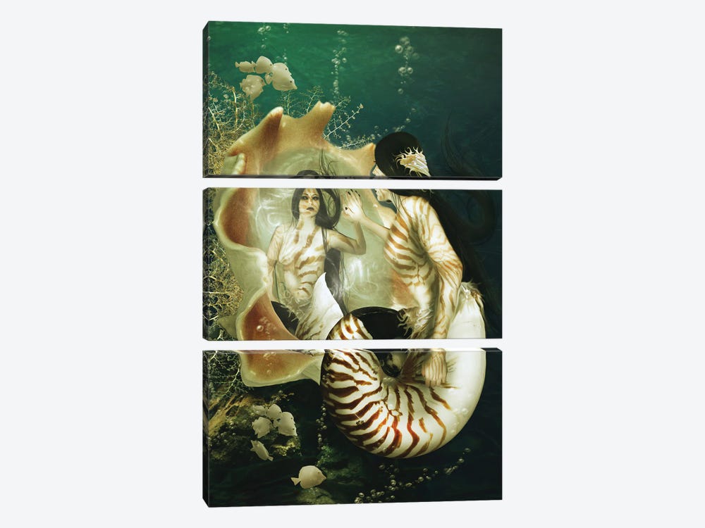 Nautilus by Babette Van den Berg 3-piece Canvas Art