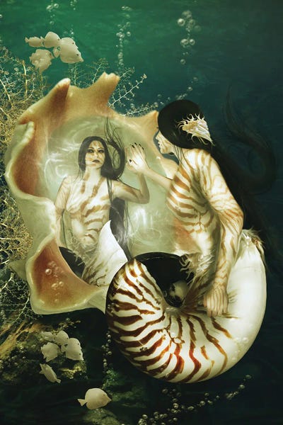 Babette Van den Berg: Nautilus by Babette Van den Berg