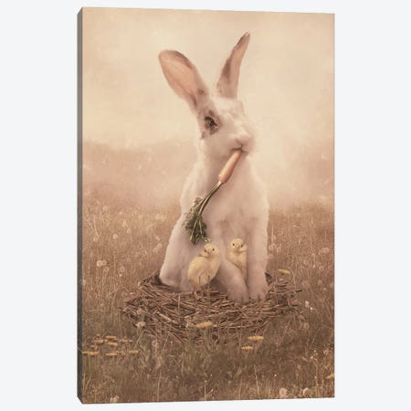 Easter Bunny Canvas Print #BVB46} by Babette Van den Berg Art Print