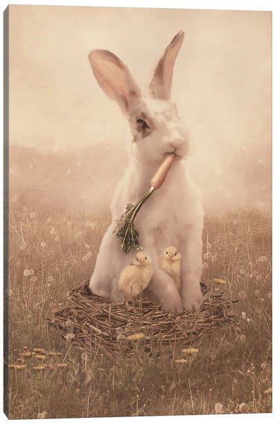 Easter Bunny Canvas Art Print - Chicken & Rooster Art