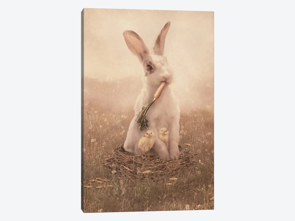 Easter Bunny by Babette Van den Berg 1-piece Canvas Print