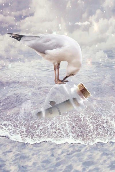 Bottle And Seagull by Babette Van den Berg framed canvas print