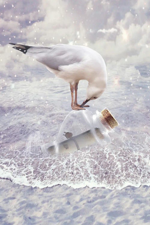 Bottle And Seagull by Babette Van den Berg wall art