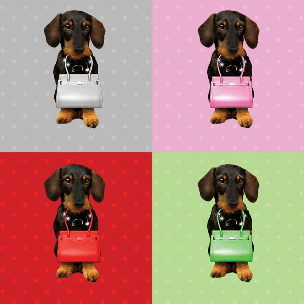 Similar To Andy Warhol: Teckel Board by Babette Van den Berg