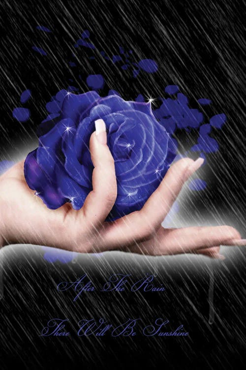 After The Rain There Will Be Sunshine by Babette Van den Berg wall art