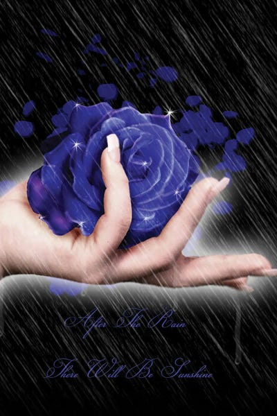 Rain: After The Rain There Will Be Sunshine by Babette Van den Berg