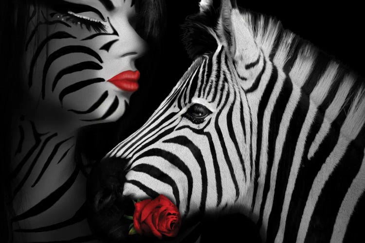 Zebra Love