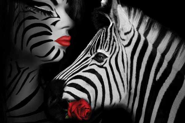 Zebras: Zebra Love by Babette Van den Berg