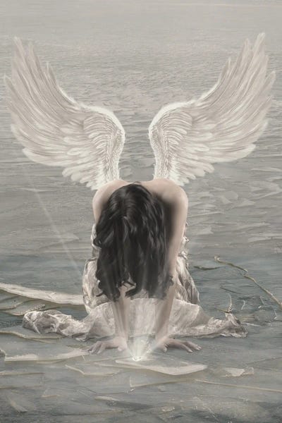 Babette Van den Berg: Cold Heart by Babette Van den Berg