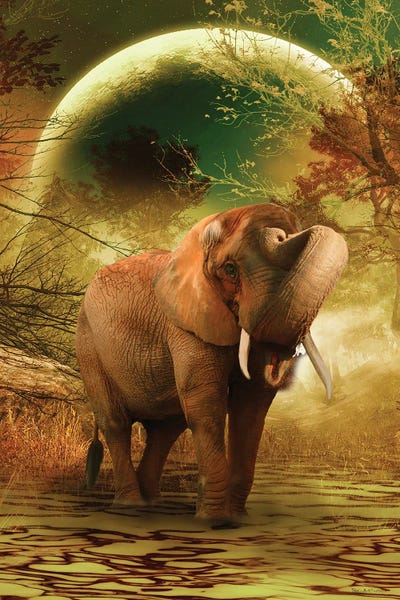 Babette Van den Berg: The Elephant Ricardo II by Babette Van den Berg