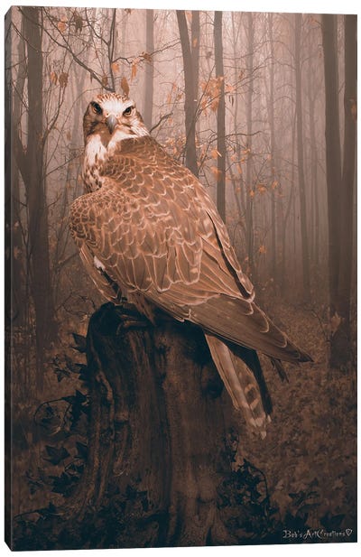 Falcon Canvas Art Print - Babette Van den Berg