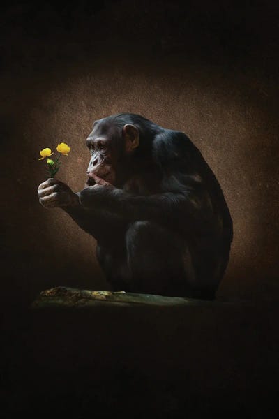 Aap Met Bloem by Babette Van den Berg gallery poster