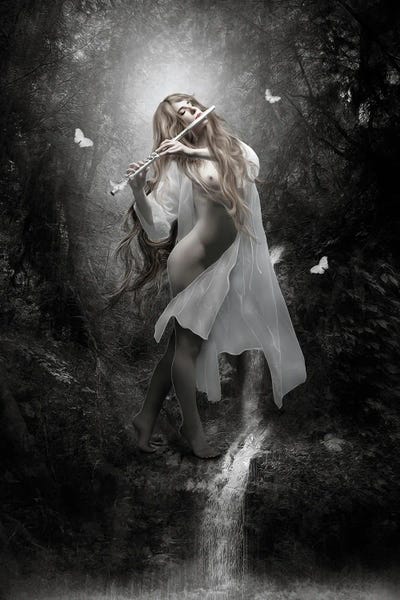 Euterpe by Babette Van den Berg framed wall art