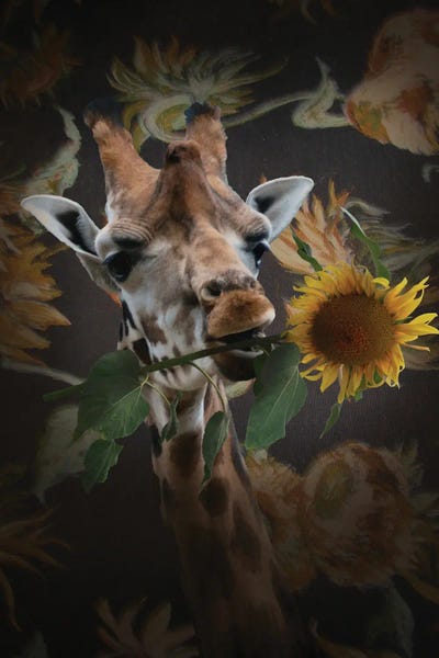 Giraffes: Giraf Met Bloem by Babette Van den Berg