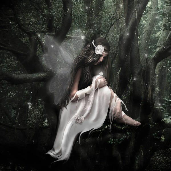 Babette Van den Berg: My Immortal Cathleen 2015 by Babette Van den Berg
