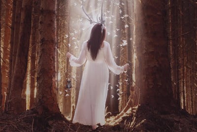 Peacefull Wood by Babette Van den Berg framed wall art