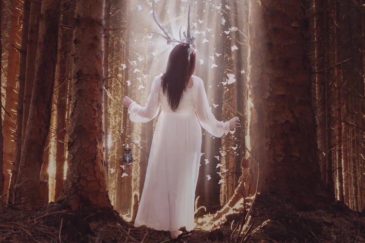 Peacefull Wood by Babette Van den Berg wall art