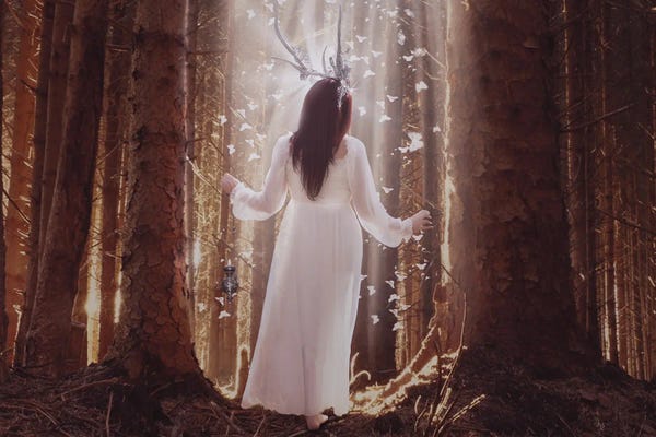 Fairies: Peacefull Wood by Babette Van den Berg